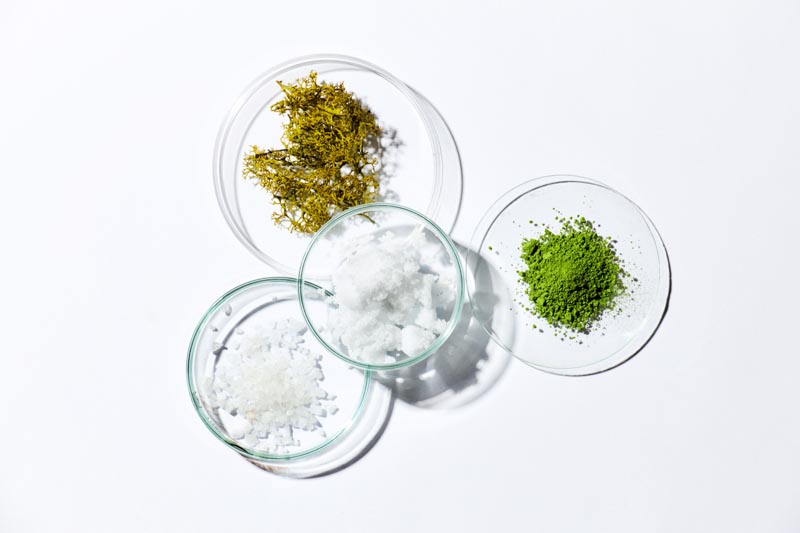 PREBIOTICS